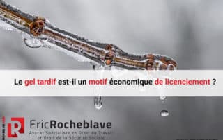 Le gel tardif est-il un motif économique de licenciement ?