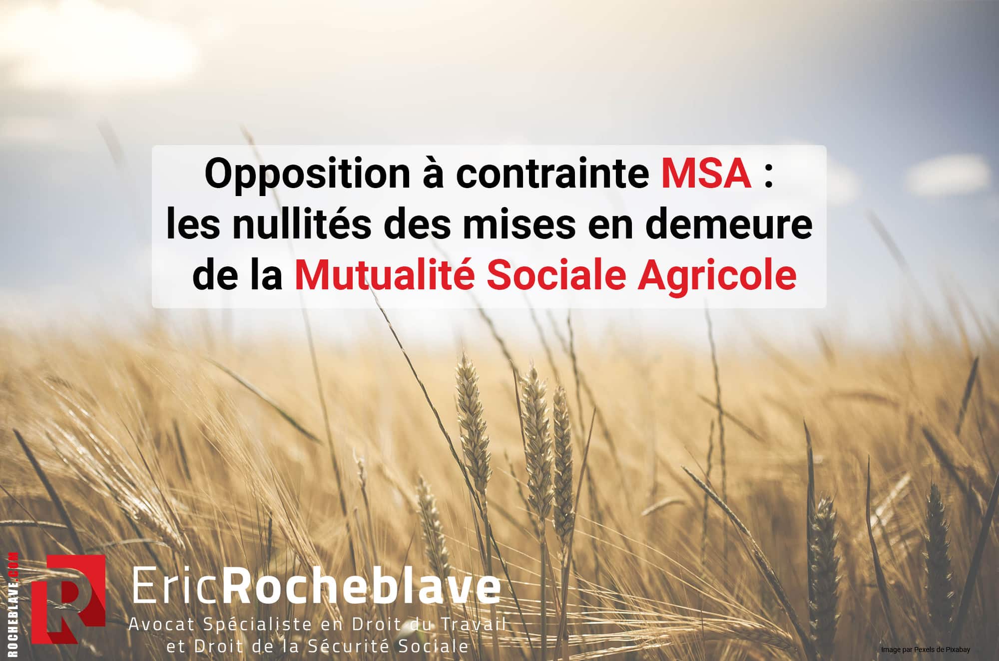 Opposition à contrainte MSA : les nullités des mises en demeure de la Mutualité Sociale Agricole